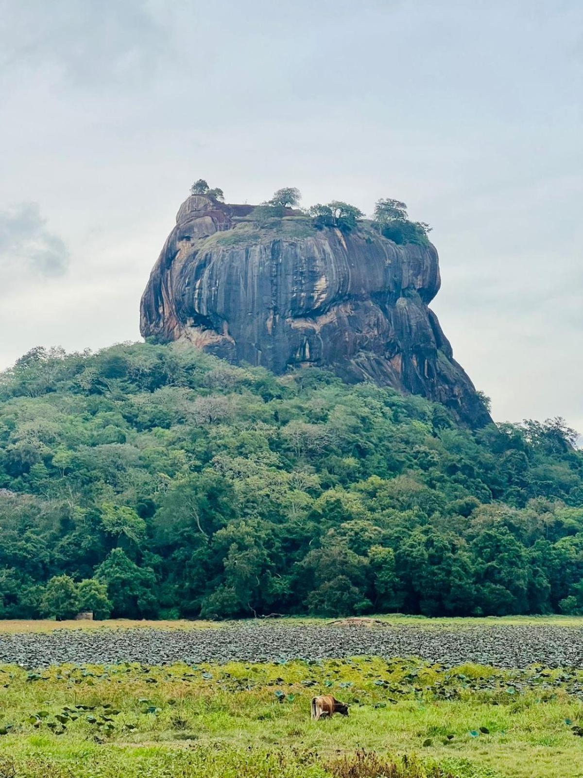 Aroma Villa Homestay Polonnaruwa Dış mekan fotoğraf