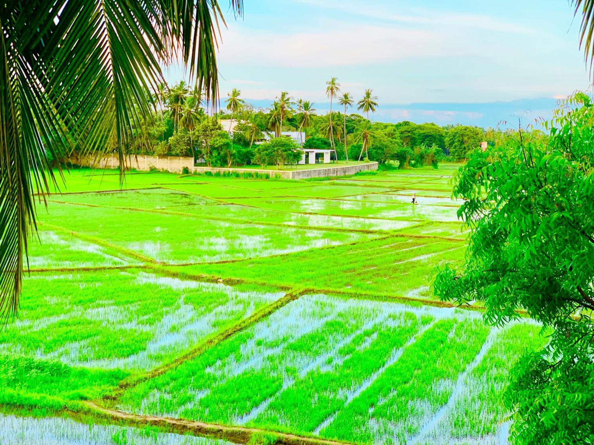 Aroma Villa Homestay Polonnaruwa Dış mekan fotoğraf