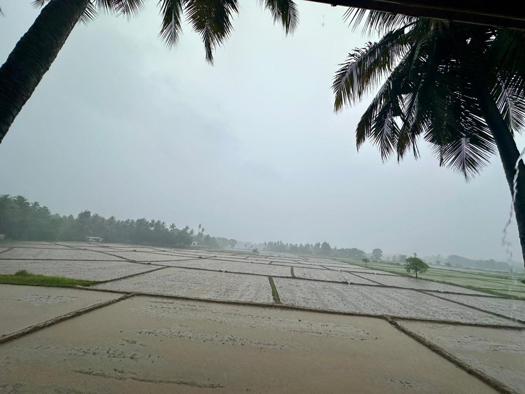Aroma Villa Homestay Polonnaruwa Dış mekan fotoğraf