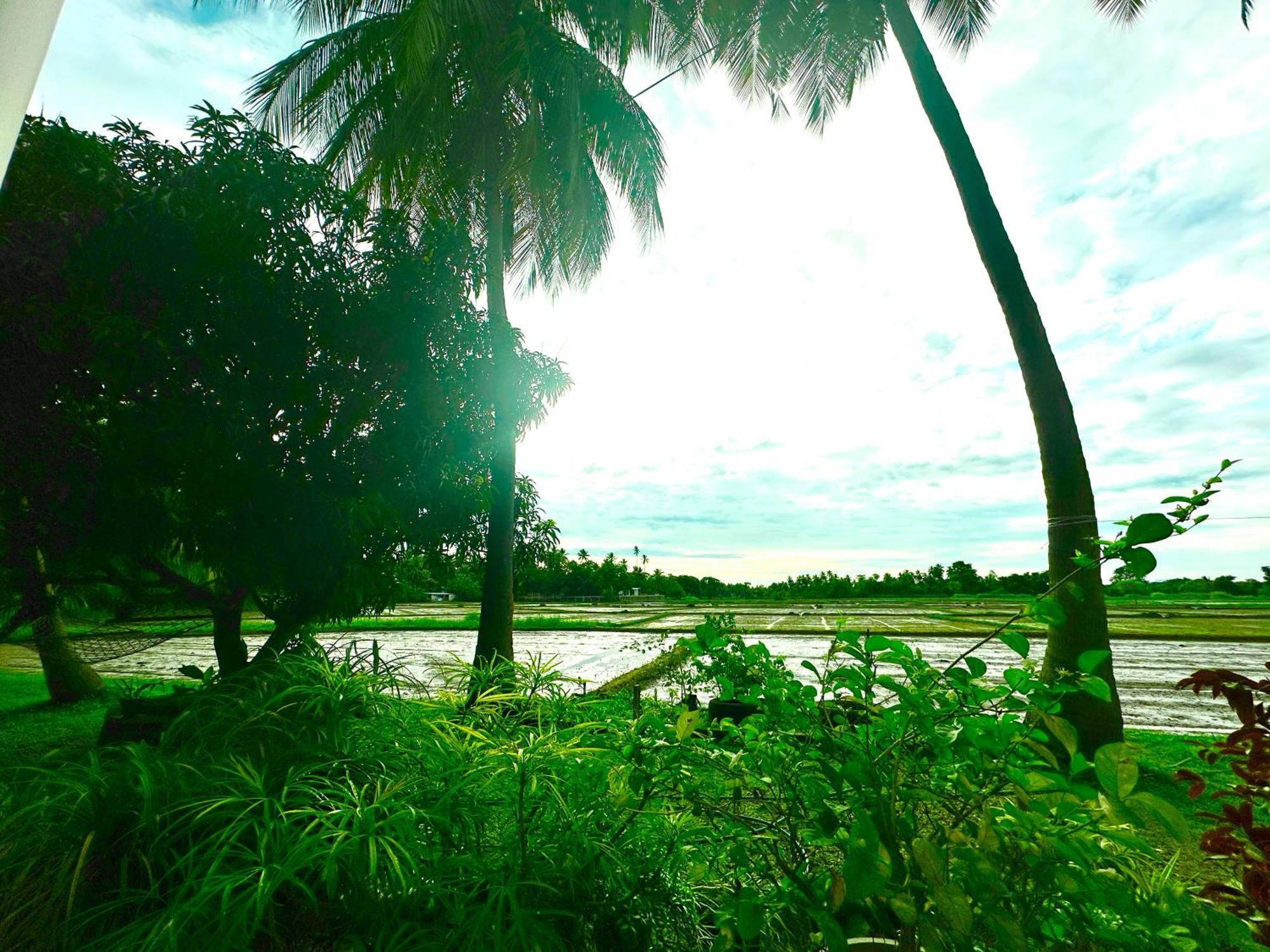 Aroma Villa Homestay Polonnaruwa Dış mekan fotoğraf