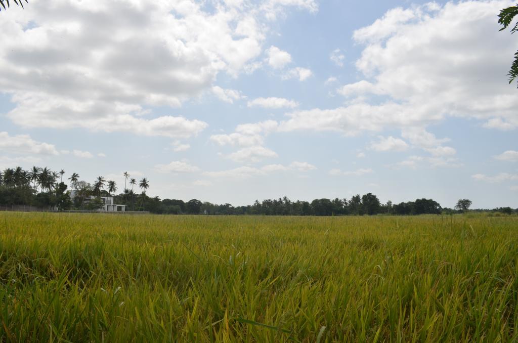 Aroma Villa Homestay Polonnaruwa Dış mekan fotoğraf